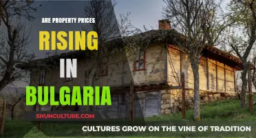 Exploring the Current Trends in Bulgarian Property Prices