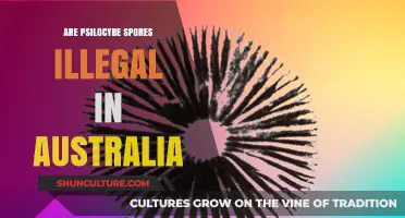 Are Psilocybe Spores Illegal in Australia? Legal Insights Explained