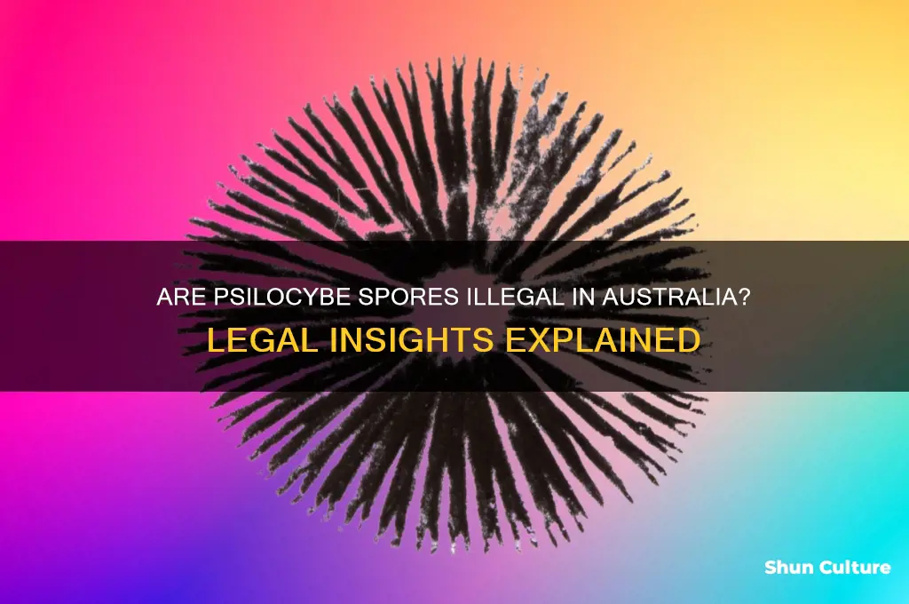 are psilocybe spores illegal in australia