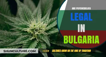 Exploring the Legal Landscape of Psychedelics in Bulgaria