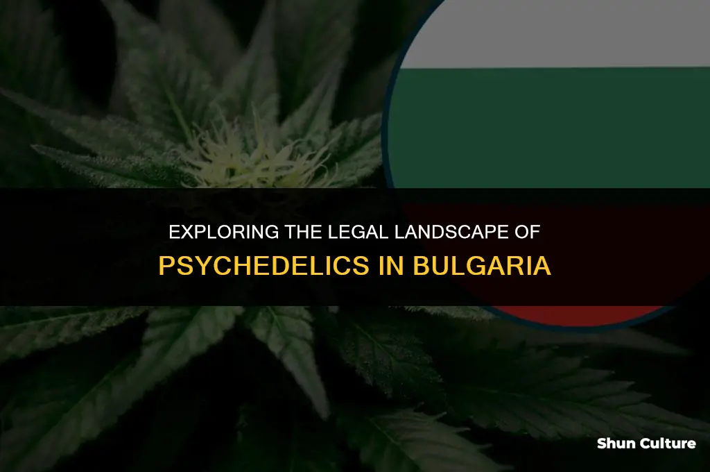 are psychedelics legal in bulgaria