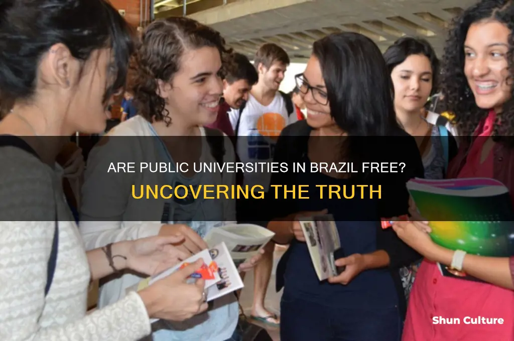 are public universities in brazil free