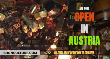 Pubs in Austria: Open for Business?