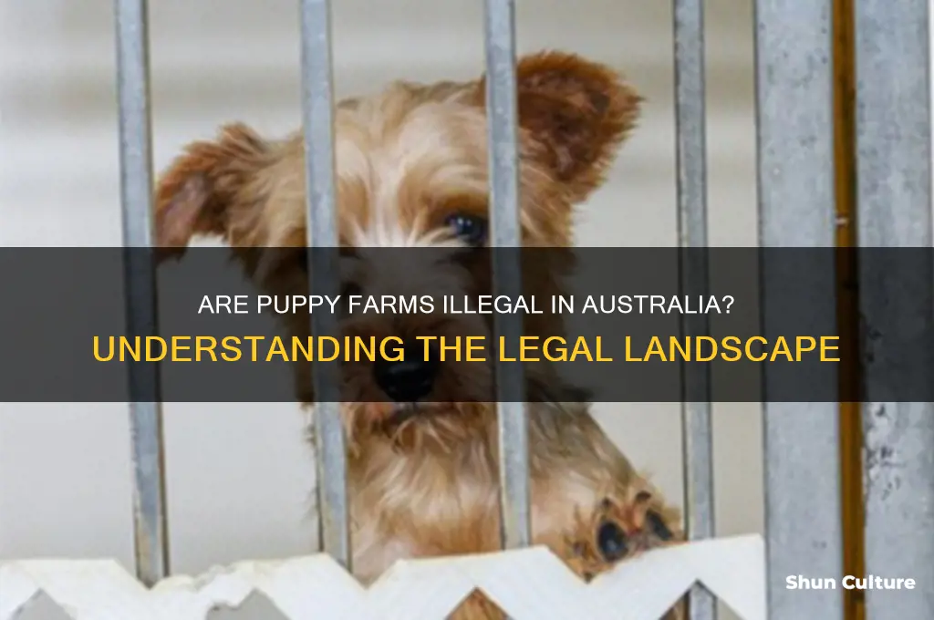 are puppy farms illegal in australia