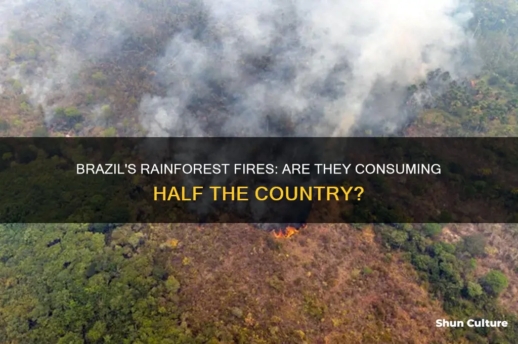 are rainforest fires covering half of brazil