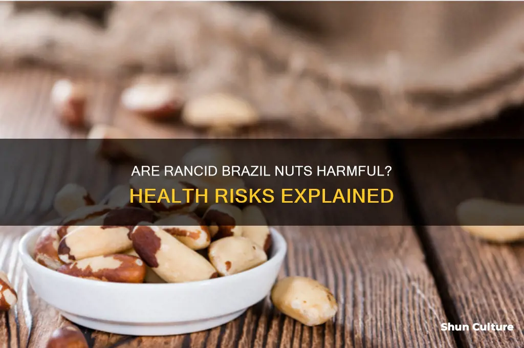 are rancid brazil nuts bad for you