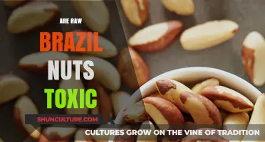 Are Raw Brazil Nuts Toxic? Uncovering the Truth and Safe Consumption Tips