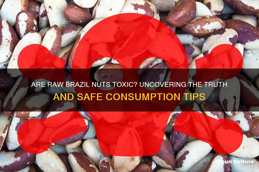 are raw brazil nuts toxic