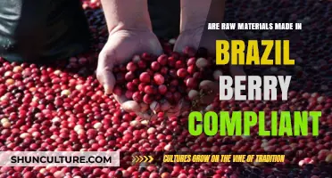 Brazil's Raw Materials: Berry Compliance and Sustainability Explained