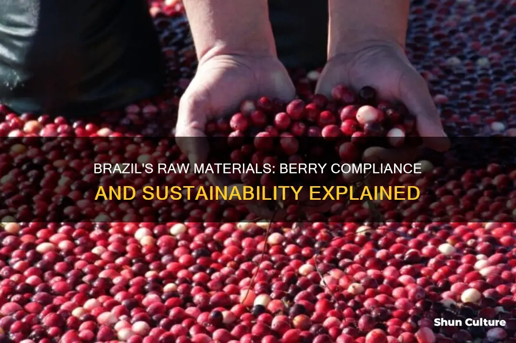 are raw materials made in brazil berry compliant