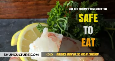 Savoring Safety: The Truth About Argentina's Red Shrimp