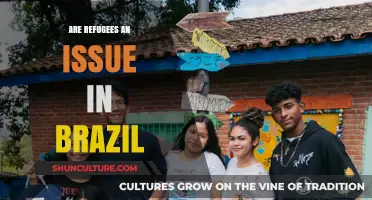 Brazil's Refugee Challenge: Understanding the Impact and Integration Efforts