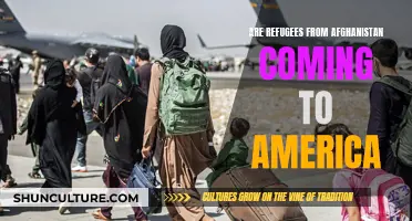 The Uncertain Future: Afghan Refugees and the American Response