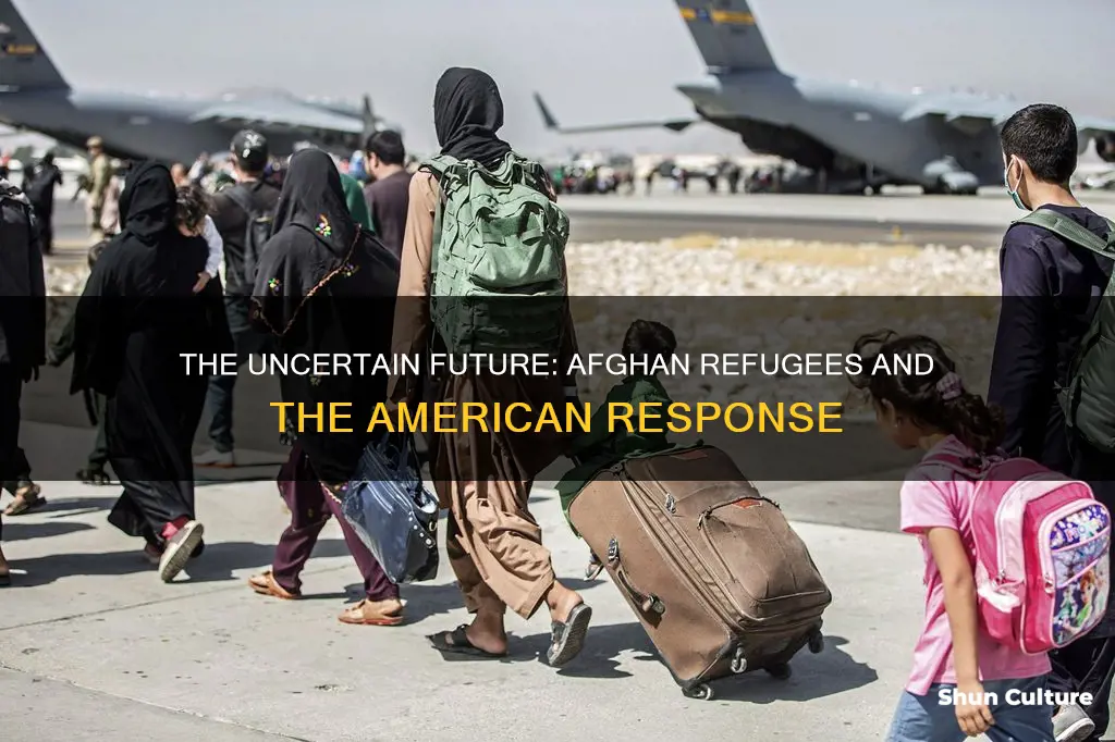 are refugees from afghanistan coming to america