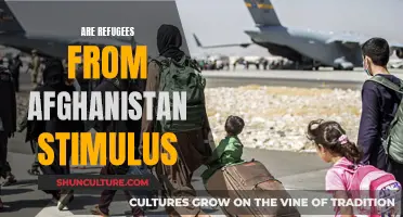 The Plight of Afghan Refugees: Stimulating a New Beginning