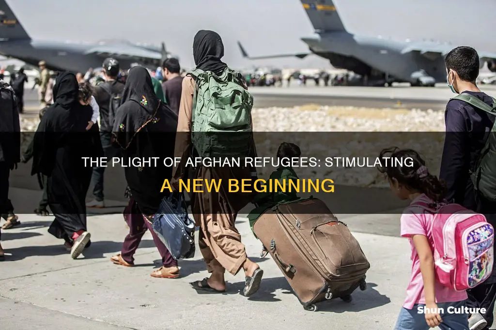 are refugees from afghanistan stimulus