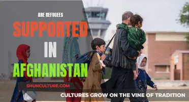 The Plight of Refugees in Afghanistan: A Nation in Search of Sanctuary