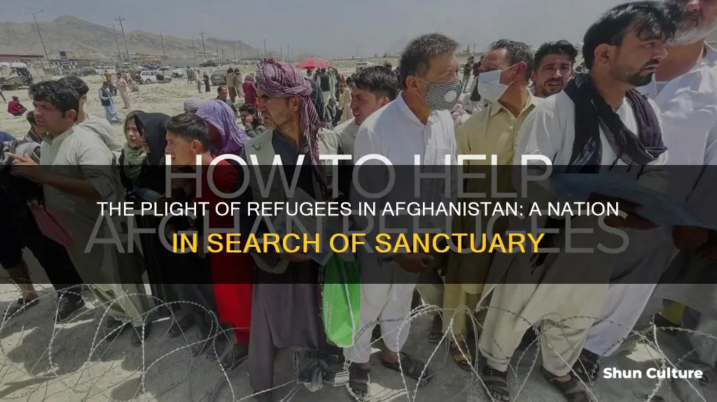 are refugees supported in afghanistan