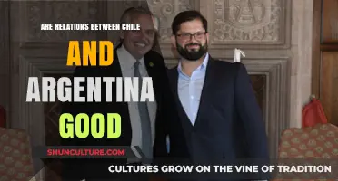 Analyzing the Complex Dynamics: Chile-Argentina Relations Today