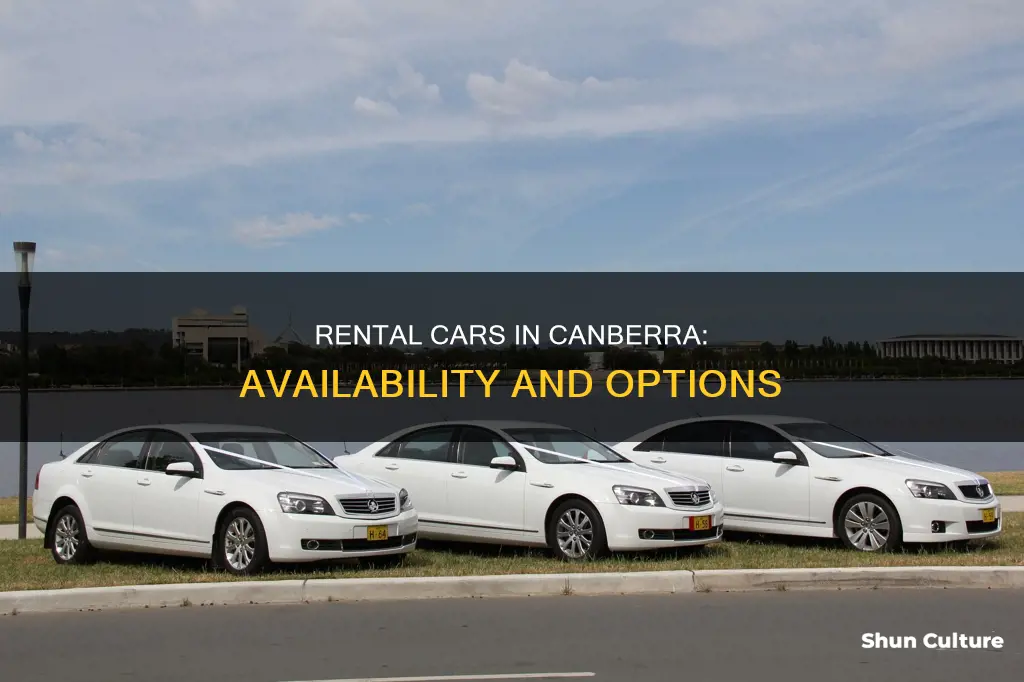 are rental cars available in canberra australia