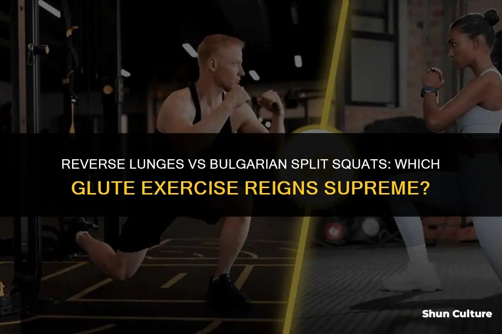 are reverse lunges or bulgarian split squats better for glutes