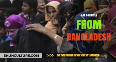 Are Rohingya from Bangladesh? Unraveling the Complex Origins and Identity
