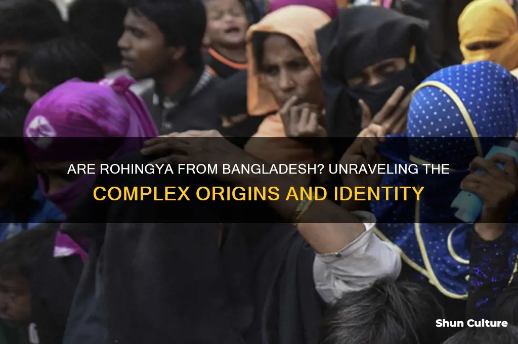 are rohingya from bangladesh