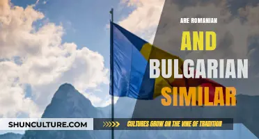 Exploring the Intricacies: Are Romanian and Bulgarian Similar?