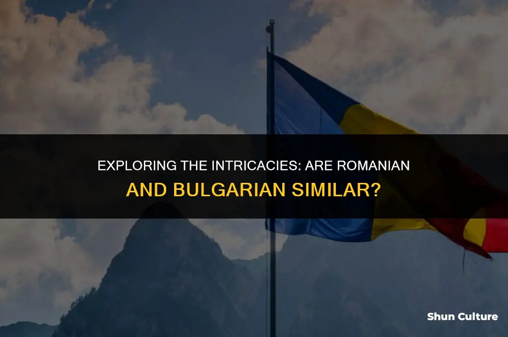 are romanian and bulgarian similar