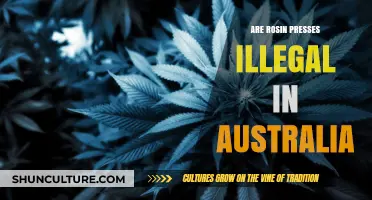 Are Rosin Presses Legal in Australia? Understanding the Current Laws