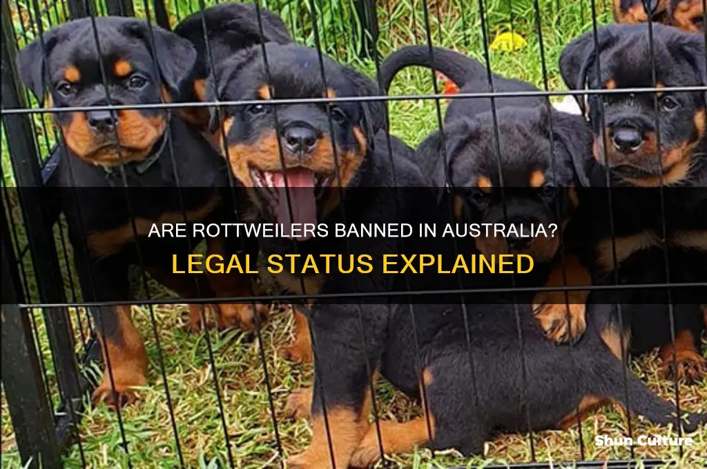 are rottweilers illegal in australia