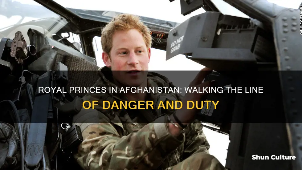 are royal princes deployed to afghanistan in danger