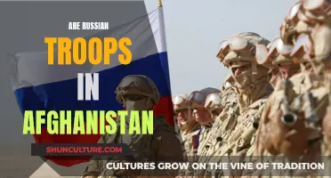 The Russian Bear's Paw Prints in Afghanistan: A Historical Overview