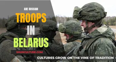 Russia's Military Presence in Belarus: What's the Truth?