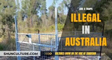 Are S-Traps Illegal in Australia? Plumbing Laws Explained