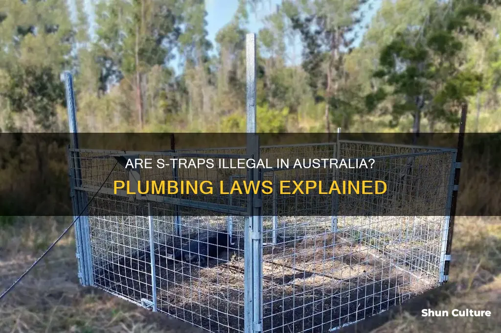 are s traps illegal in australia