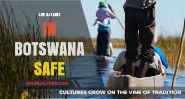Exploring Botswana Safaris: Safety Tips and Precautions for Travelers