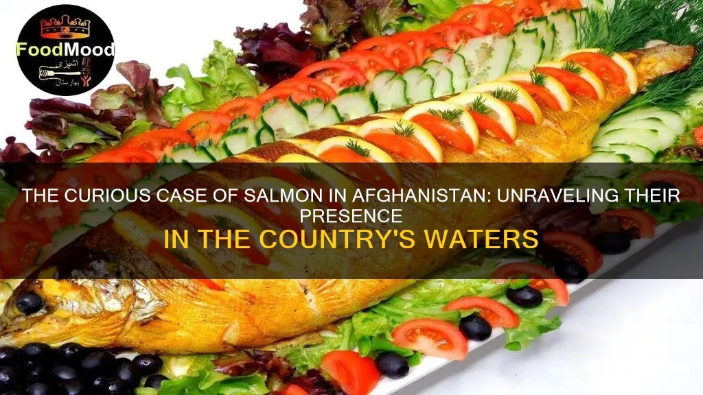 are salmon native to afghanistan