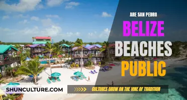 Belize's San Pedro: Public Beach Access Explored