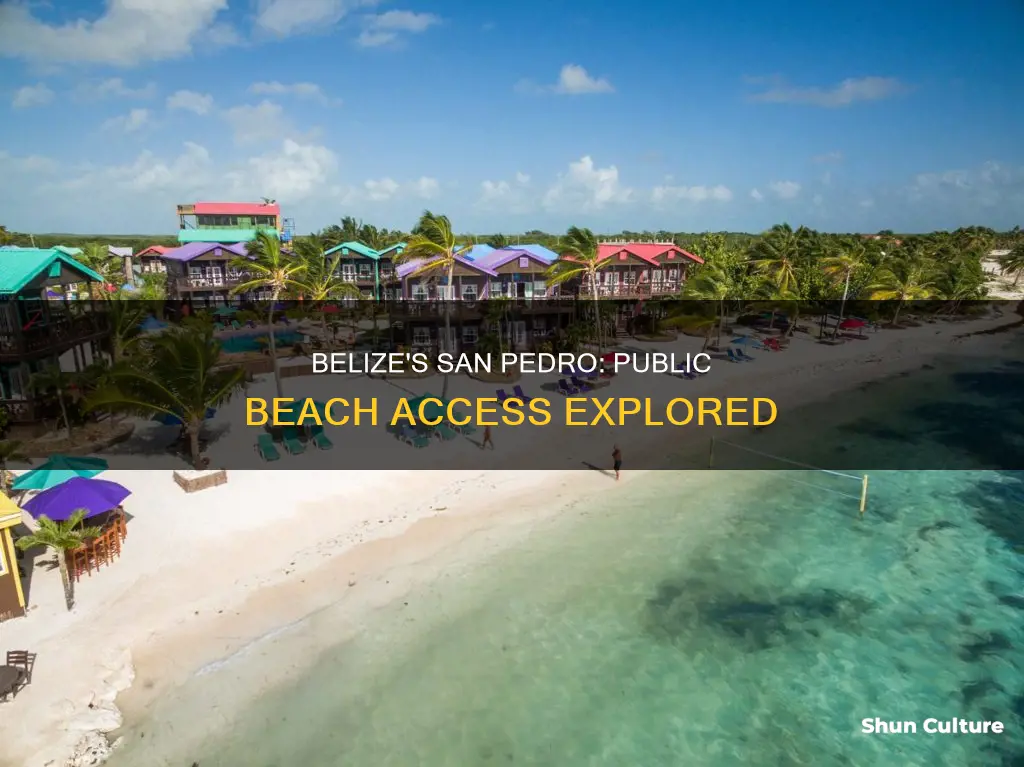 are san pedro belize beaches public