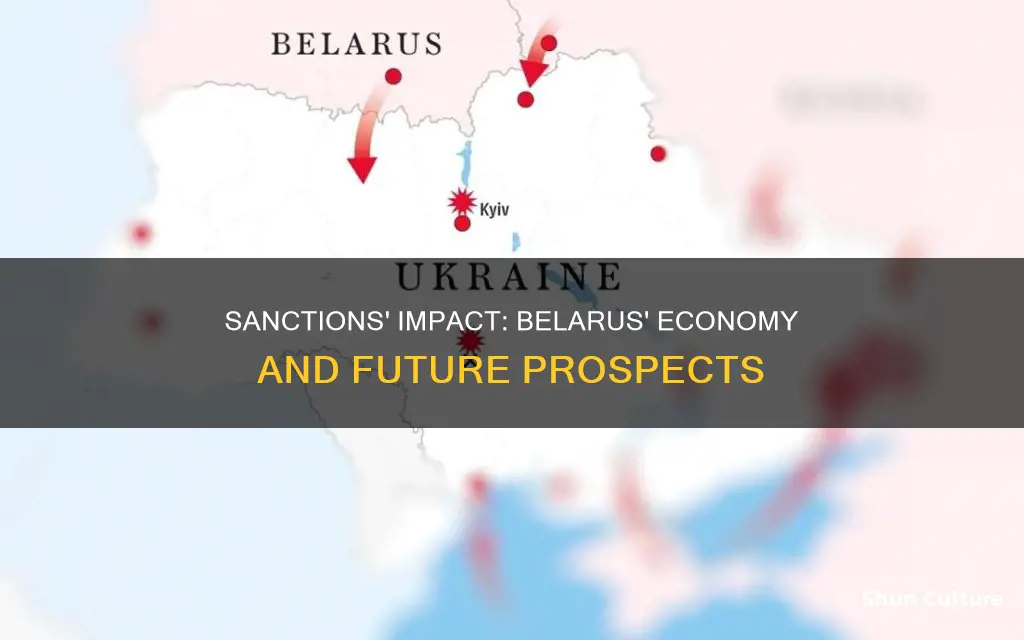 are sanctions hurting belarus