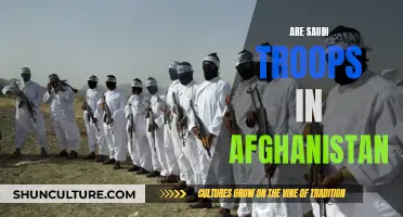 Saudi Arabia's Military Presence in Afghanistan: Understanding the Kingdom's Role