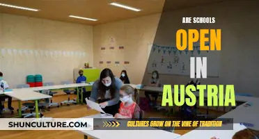 Austrian Schools: Open or Closed?