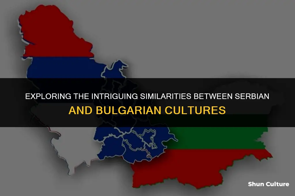 are serbian and bulgaria similarities