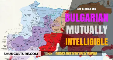 Exploring the Linguistic Bridge: Serbian and Bulgarian Mutual Intelligibility