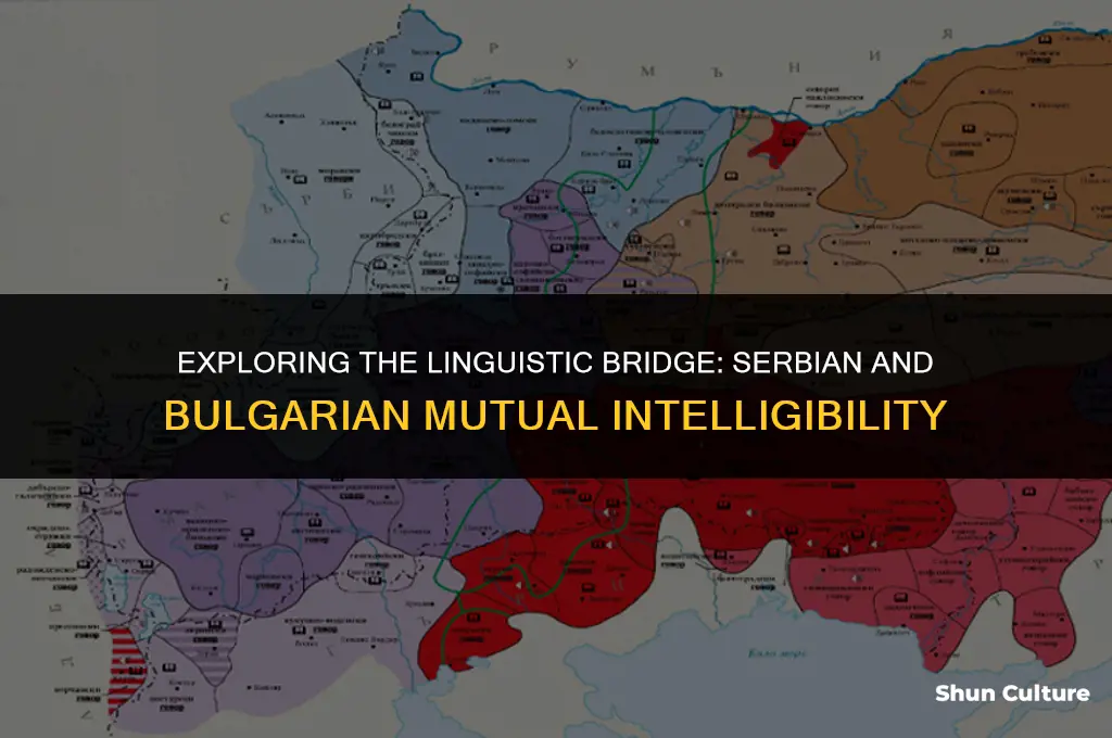 are serbian and bulgarian mutually intelligible