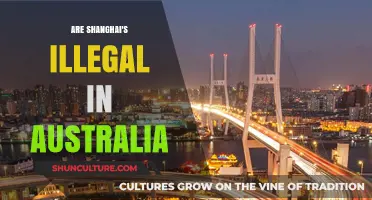 Are Shanghai's Illegal in Australia? Unraveling the Legalities