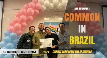 Exploring Transgender Visibility and Acceptance in Brazilian Culture and Society
