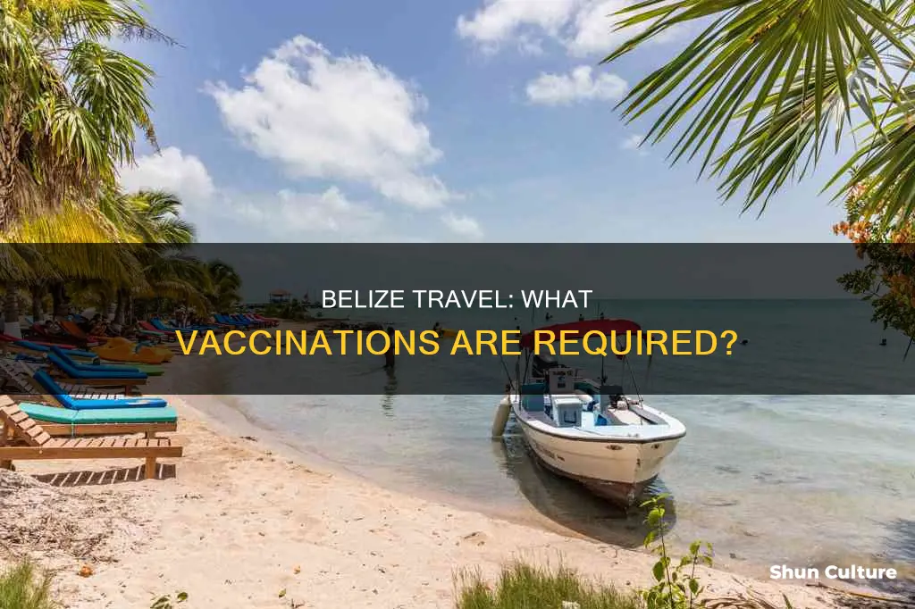 are shots needed to travel to belize