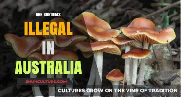 Are Shrooms Illegal in Australia? Understanding Psilocybin Laws and Penalties